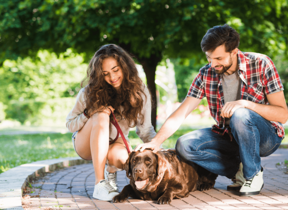 Pet-Business